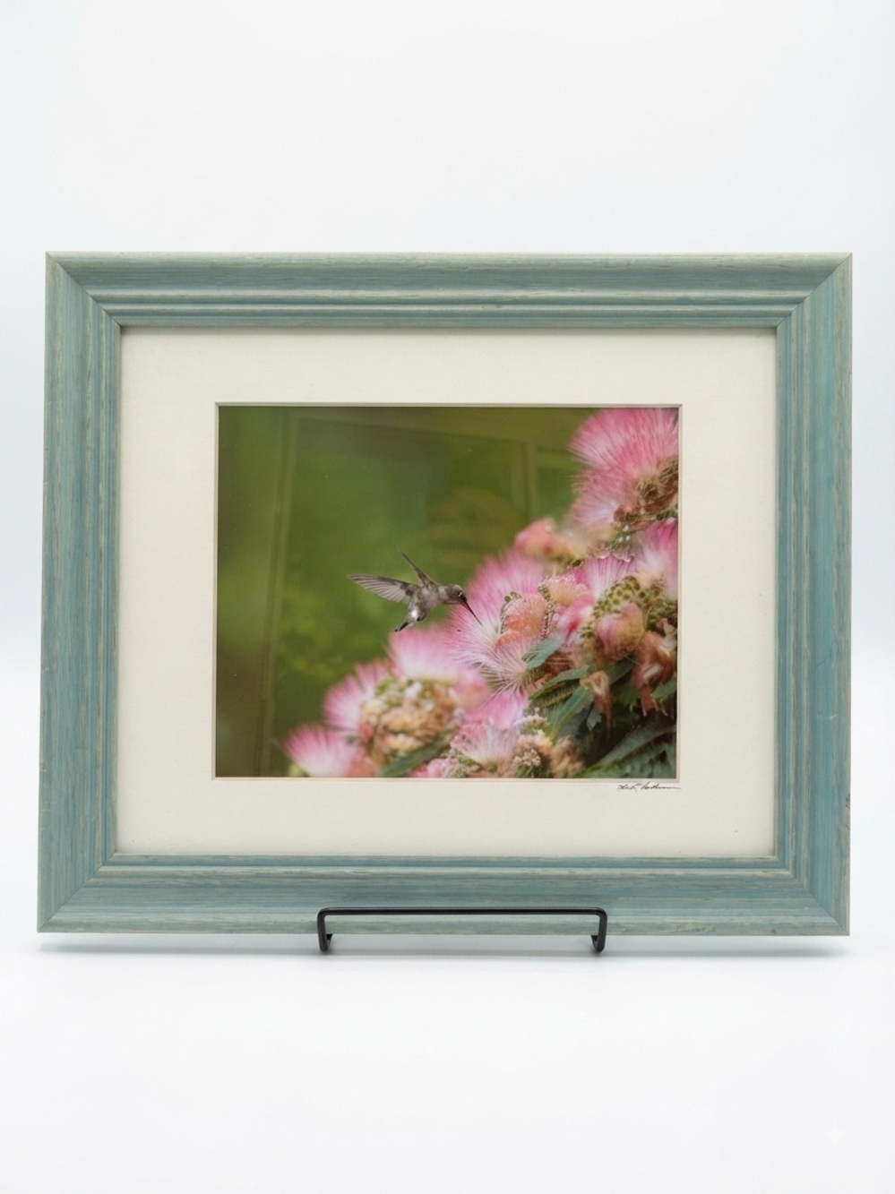 Photograph Matted & Framed  11x14 Matted Nature, signed on Mat Hummingbird